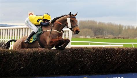 cheltenham betting 2019|CHELTENHAM GOLD CUP 2019: ADVICE AND .